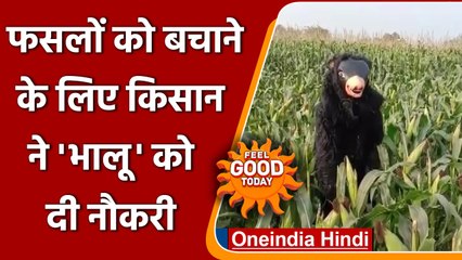 Telangana: किसान ने फसल को बचाने के लिए 'भालू' को दी नौकरी,15 हजार देता है सैलरी | वनइंडिया हिंदी