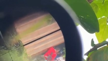 Con video Ejército Nacional busca probar que operación en Putumayo fue legítima