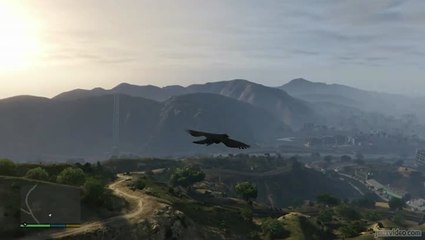 GTA V : nos meilleures expériences animales !