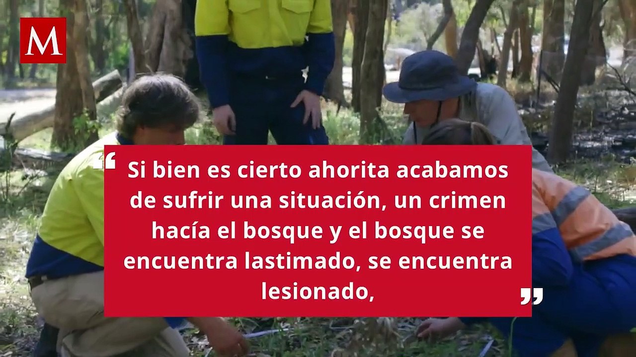 ¿Tenías planeado subir el Tepozteco? Ya no será posible debido al reciente incendio