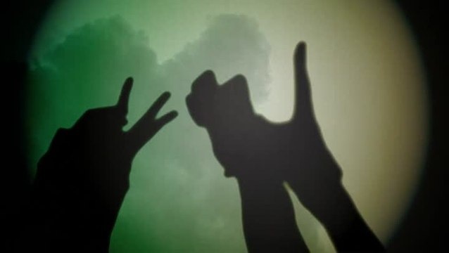 Super Mario 3D World : Ombres chinoises