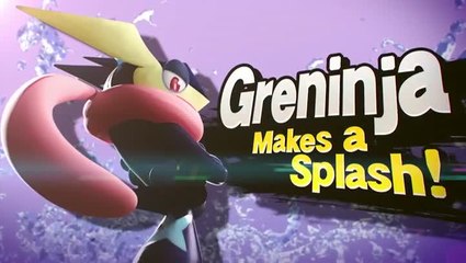 Super Smash Bros. for 3DS : Dracaufeu et Amphinobi