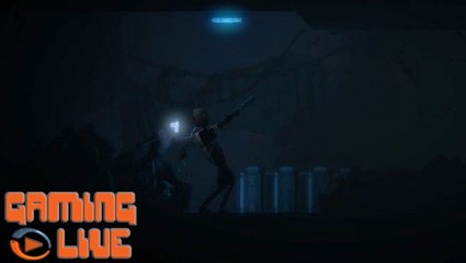 The Fall : 2/2 : Allons flinguer du robot