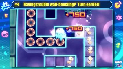 Pix the Cat : 10 conseils