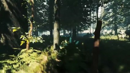 The Forest : Annonce du jeu sur PlayStation 4