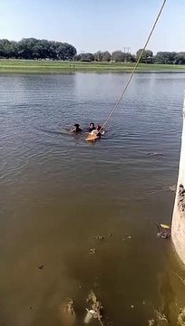 Gujarat News Video : एम्बुलेंस चालक, स्वास्थ्यकर्मी ने डूब रहे व्यक्ति की बचाई जान