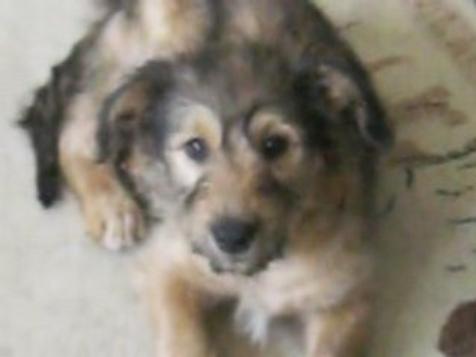 tequila et cannelle mars08