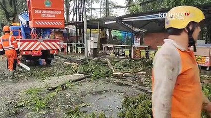 Cuaca Ekstrim, Pohon Tumbang Timpa Pujasera di Malang