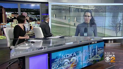 Bruce Willis' Aphasia Diagnosis Shines Spotlight On Research And Support In Pittsburgh