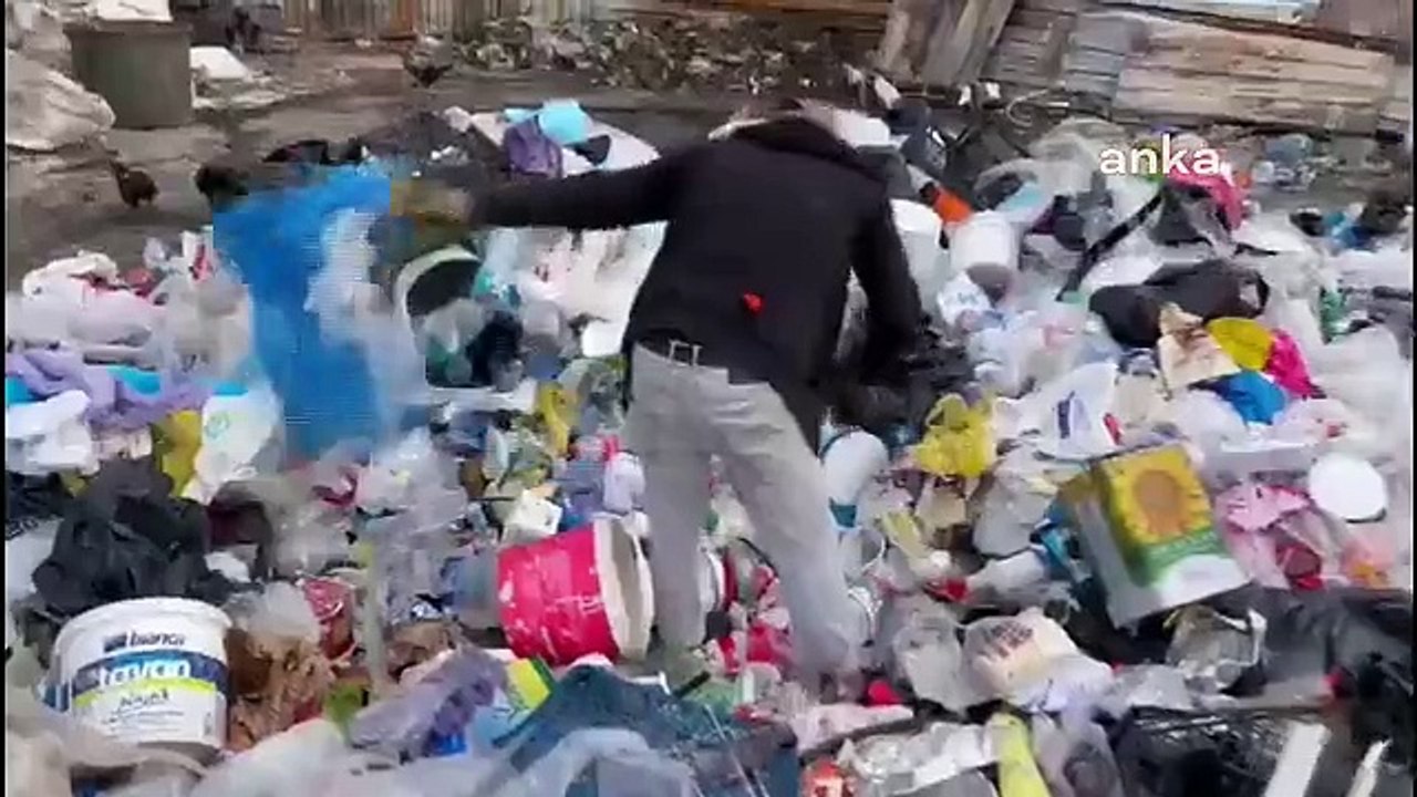 Kağıt toplayıcılığı yapan veteriner teknikeri: Hayallerim vardı, ne yazık ki bu işteyim