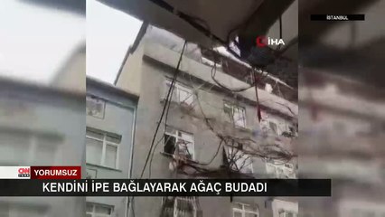 Kendini ipe bağlayarak ağaç budadı