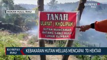 Harimau Sumatera Dilepasliarkan BBKSDA Riau