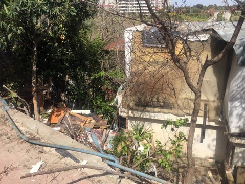 2 yıl önce kazayı kıl payı atlatan köpek bu kez kurtulamadı