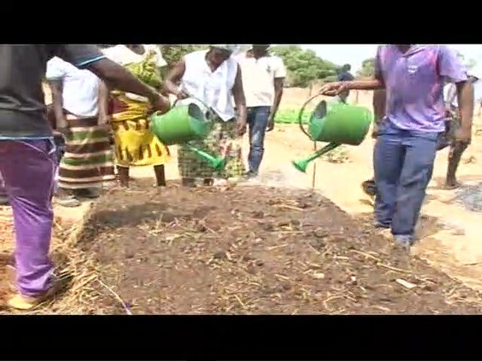 formation Pierre Rabi - Filière agricole du lycée de Pô