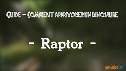 Ark : Dressage Raptor