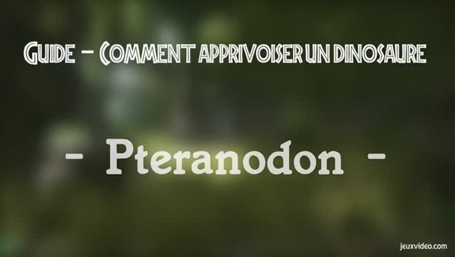 Ark : Dressage Ptero