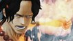 One Piece Pirate Warriors 3 - Friends Forever