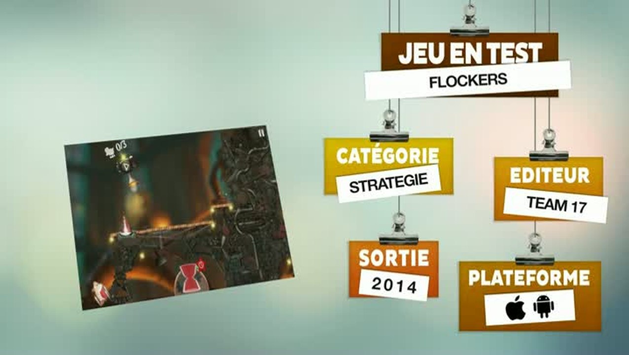 Overview Mobile : Flockers