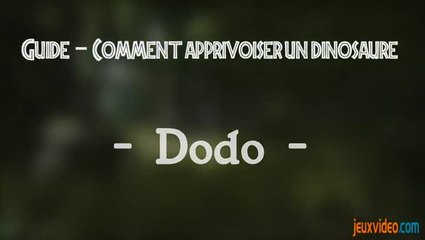 Ark : Dressage Dodo