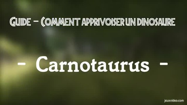 Ark : Dressage du Carno