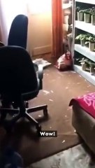 A vida mudou para as crianças de Mariupol