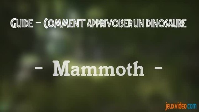 Ark : Dressage Mammouth