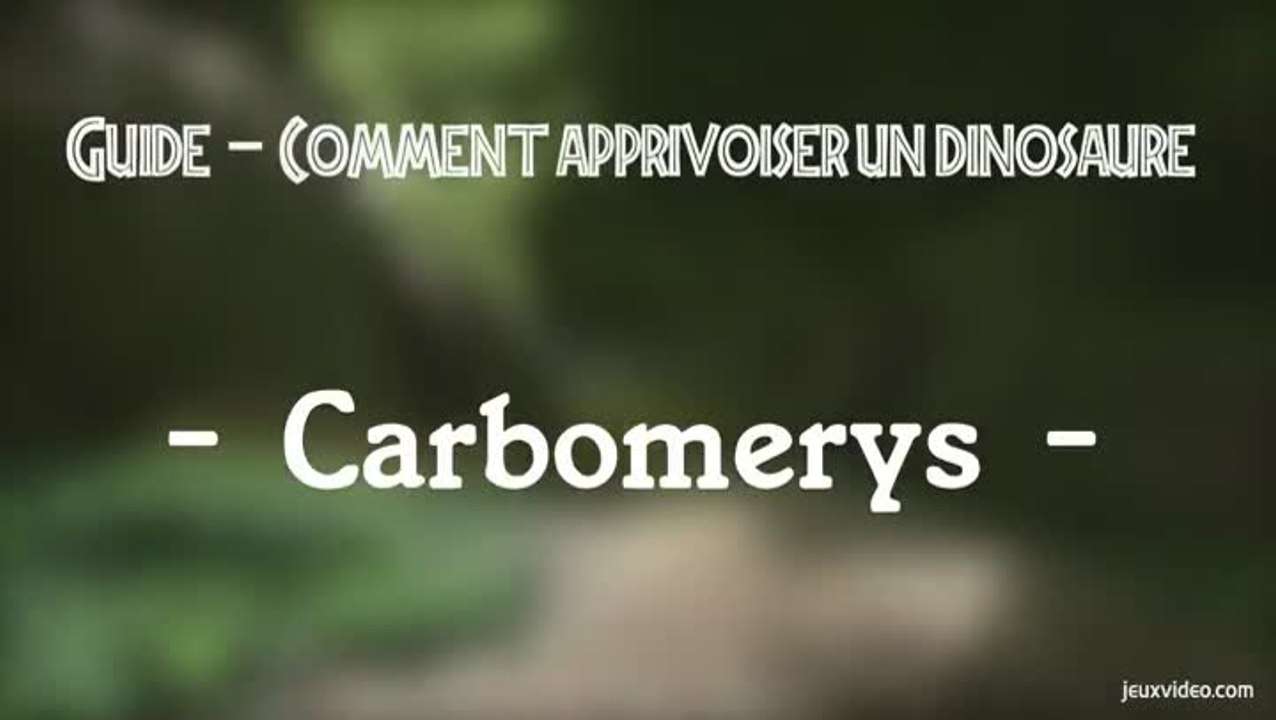Ark : Dressage Carbo