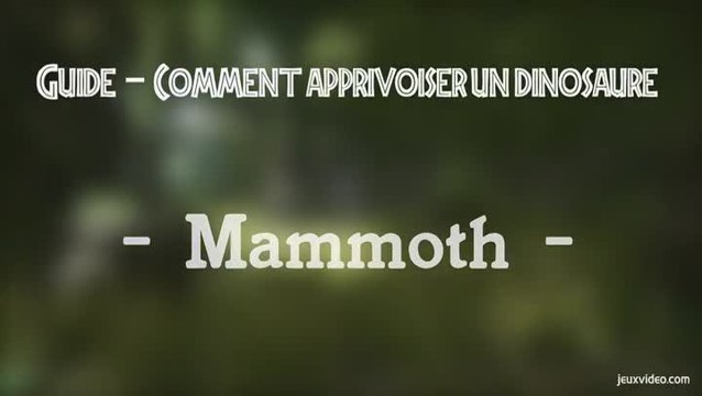 Ark : Dressage Mammouth