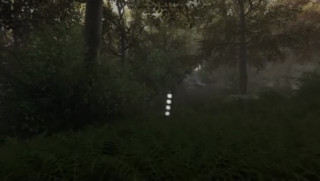 Une île remplie de mystères