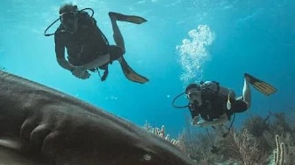 'Who would allow that?' Kate sparks questions over 'fake' engagement ring after diving