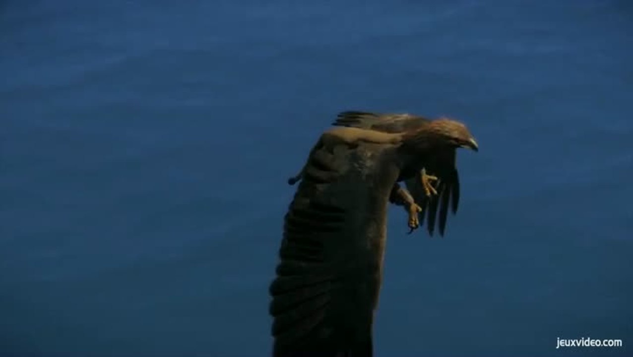 Wander - Quand MMO rime avec non violence