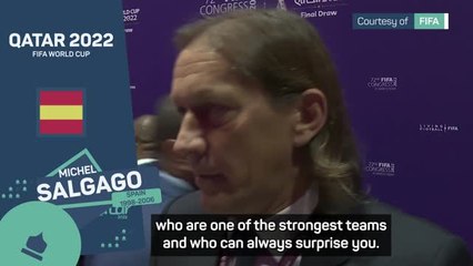 Salgado pleased with pot 1 seeding for Spain