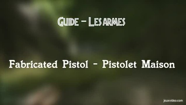 Ark : Arme pistol