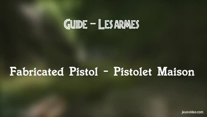 Ark : Arme pistol
