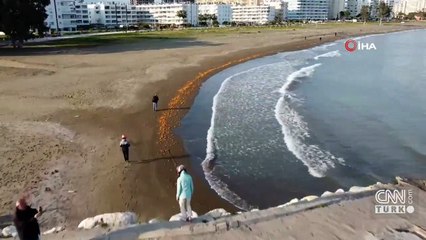 Akdeniz’de deniz anası kabusu sürüyor, Kızkalesi sahiline kadar geldi