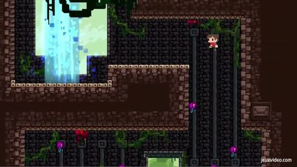 Vidéo test : Adventures of Pip