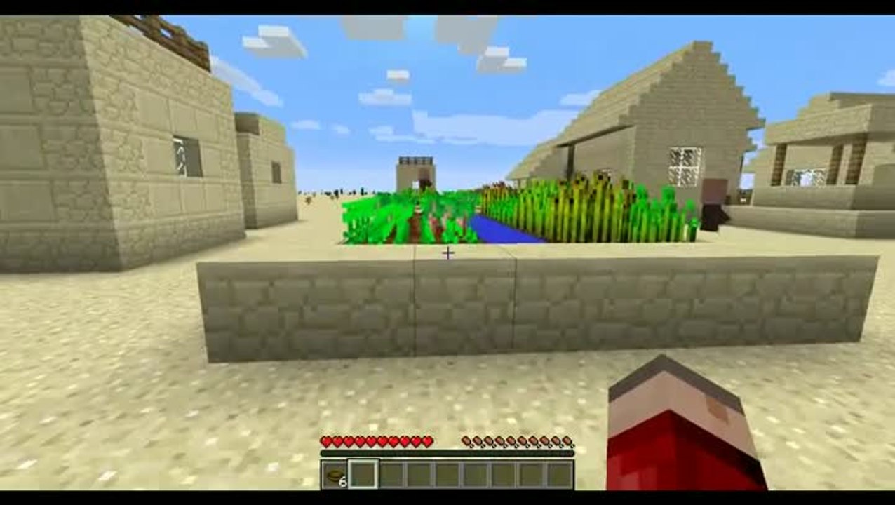 Village