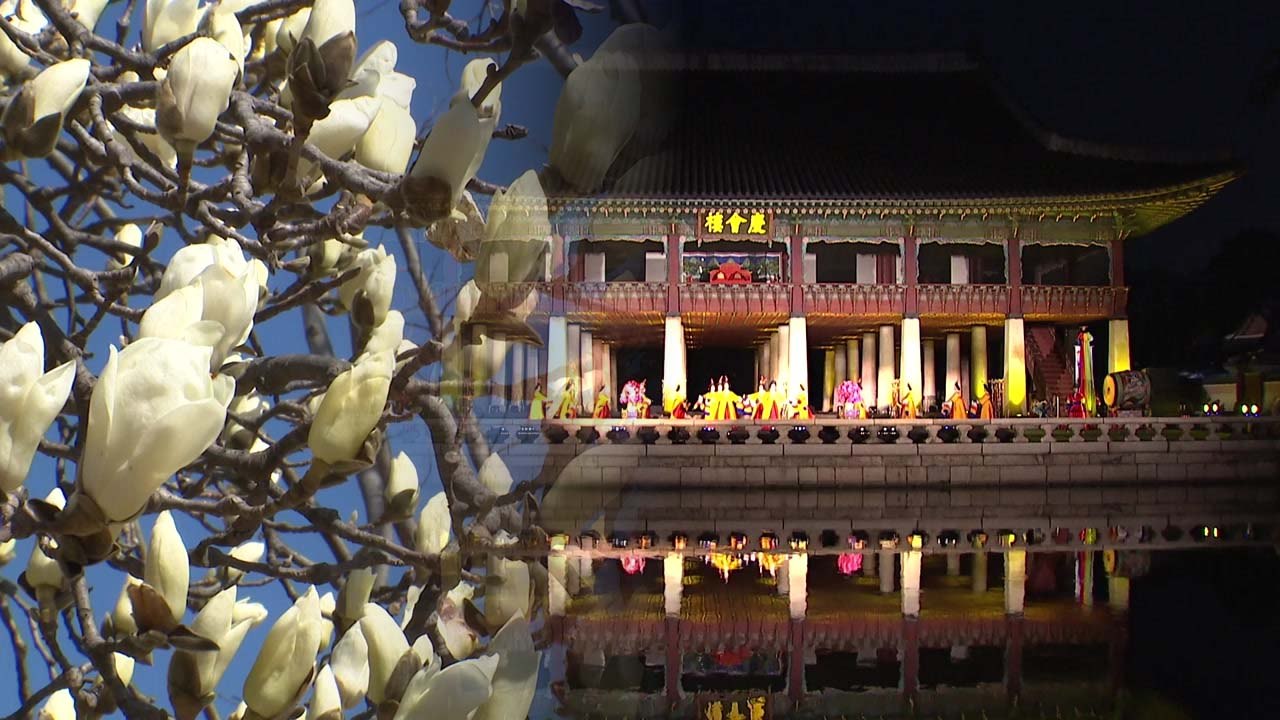 봄꽃 핀 경복궁 야간 개장...경회루 특별관람 재개 / YTN