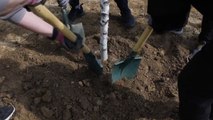 [기업] AIA생명, 안양천에 나무 심는 '숲 프로젝트' 진행 / YTN