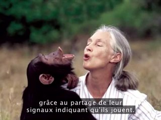 Serious Games Stuart Brown