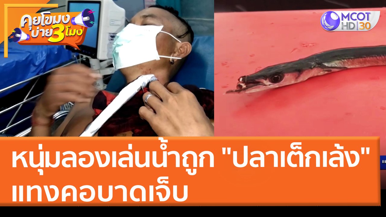 หนุ่มลองเล่นน้ำถูก "ปลาเต็กเล้ง" แทงคอบาดเจ็บ (...