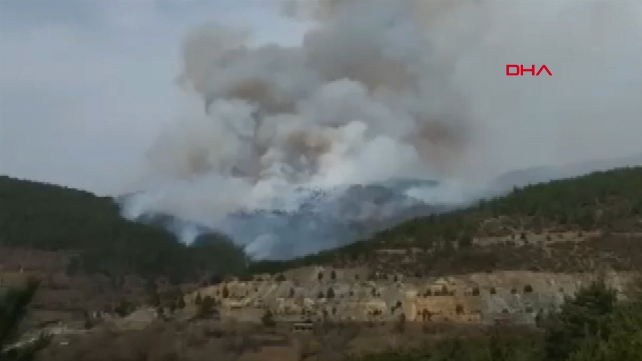 Bursa’da orman yangını