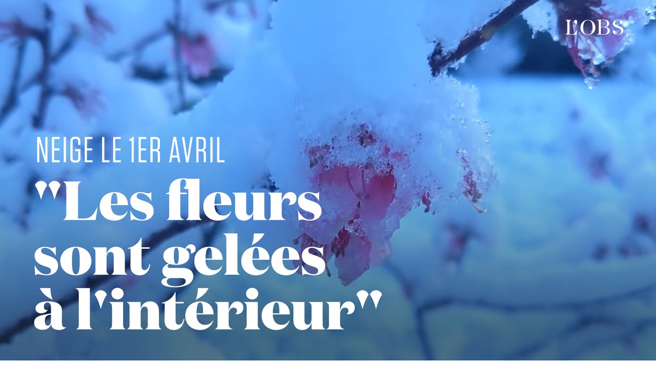 Des images de l'inhabituelle neige de printemps tombée sur une vingtaine de départements