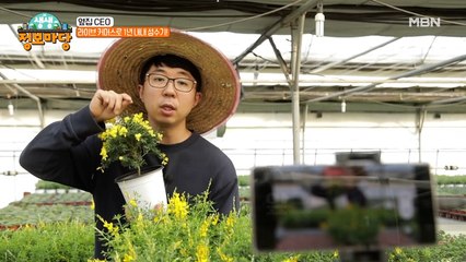 장비 빨? 필요 없다 단돈 5만 원으로 라이브 커머스 하는 방법?