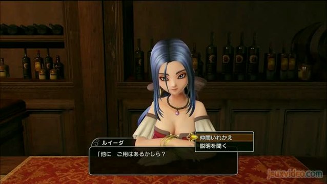 Dragon Quest Heroes - Le calme avant la tempête