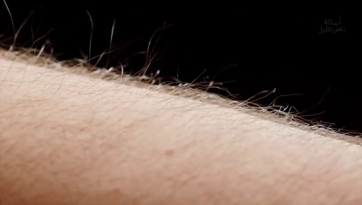 أسئلة نص الليل...؟..ليه شعر جسمنا بيقف لما بنخاف؟ أو نشوف مشهد مؤثر؟