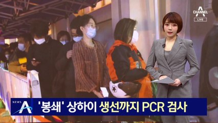 ‘봉쇄’ 상하이…살아있는 생선까지 PCR 검사
