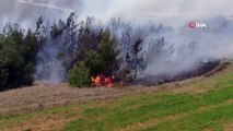 Orman yangınları erken başladı: Bursa ormanları yanıyor