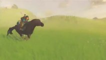 Court extrait de Zelda Wii U