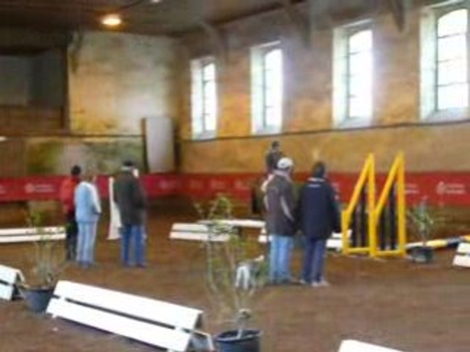 Etalons Haras du Pin Mars 2008 POLARIS DU LUY